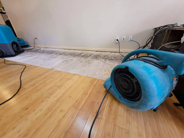 Reliable Basement Flood Cleanup contractor in Riesel, TX by Hirex Water Damage