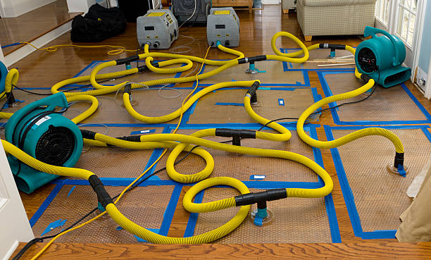Professional Basement Flood Cleanup technician working in Riesel, TX